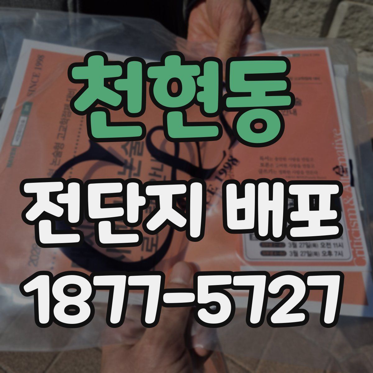 천현동 전단지 배포