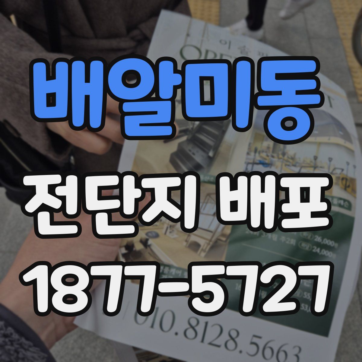 배알미동 전단지 배포