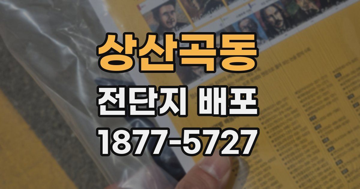 상산곡동 전단지 배포