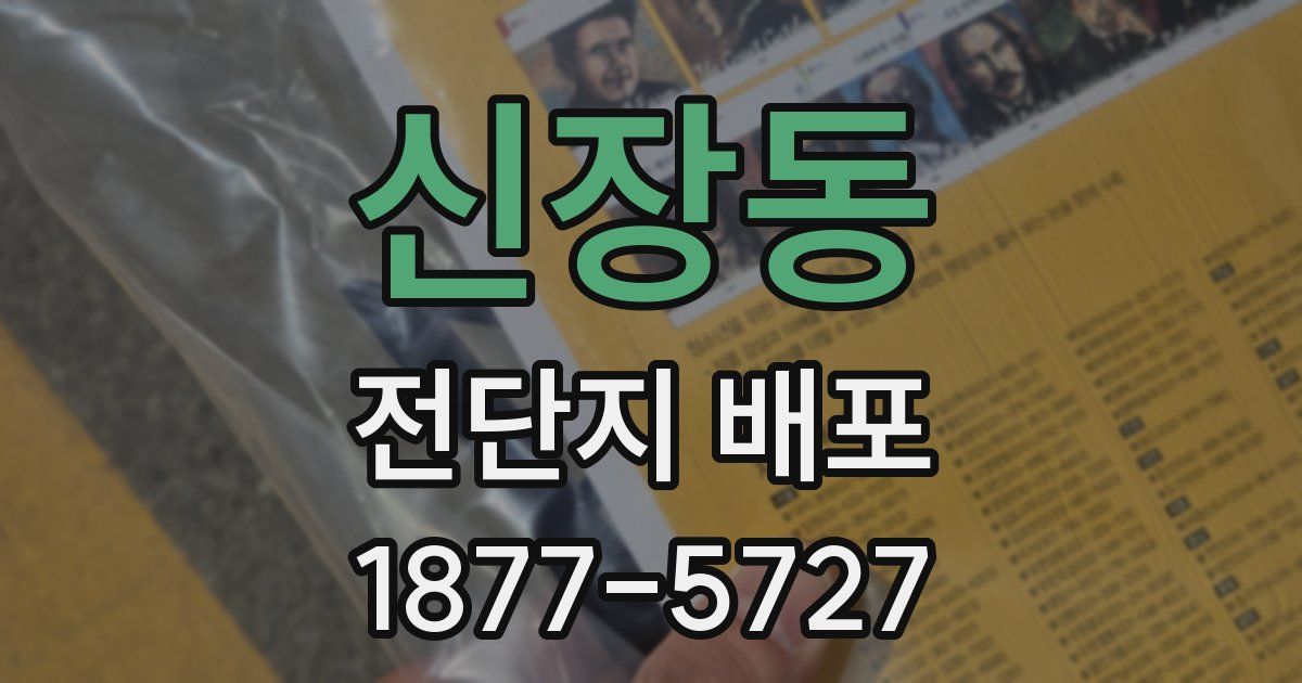 신장동 전단지 배포