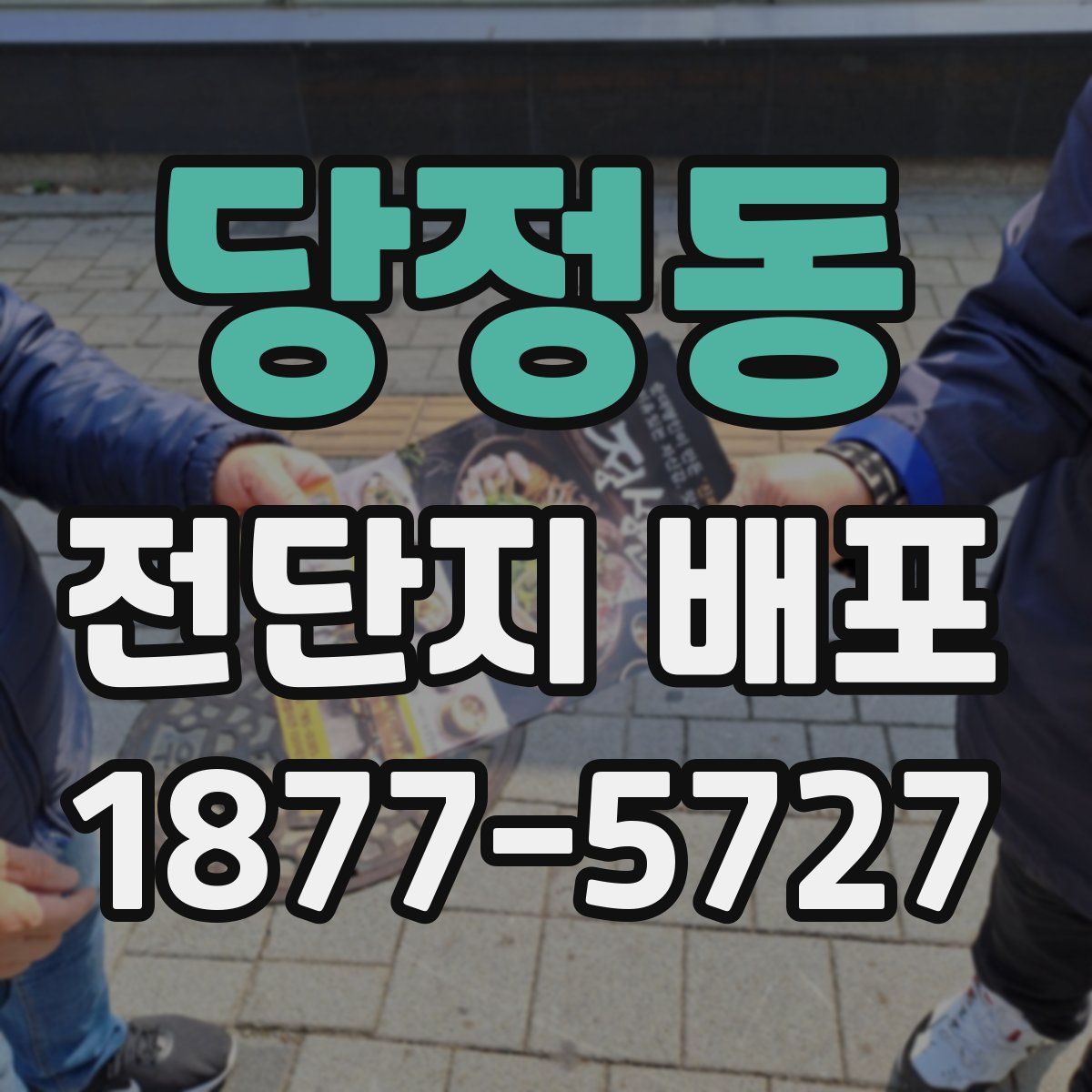 당정동 전단지 배포