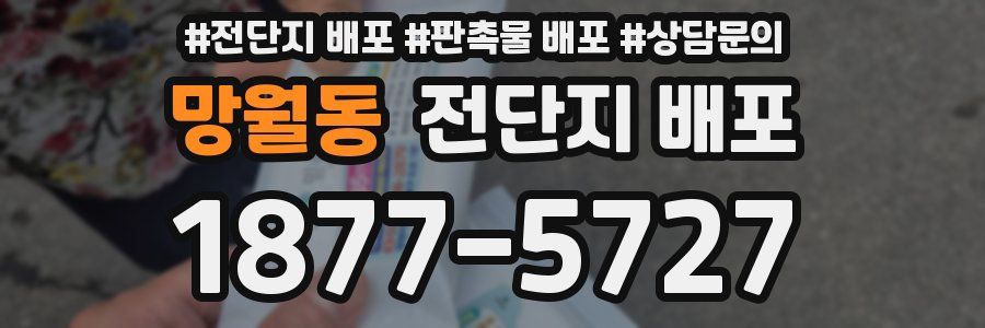망월동 전단지 배포