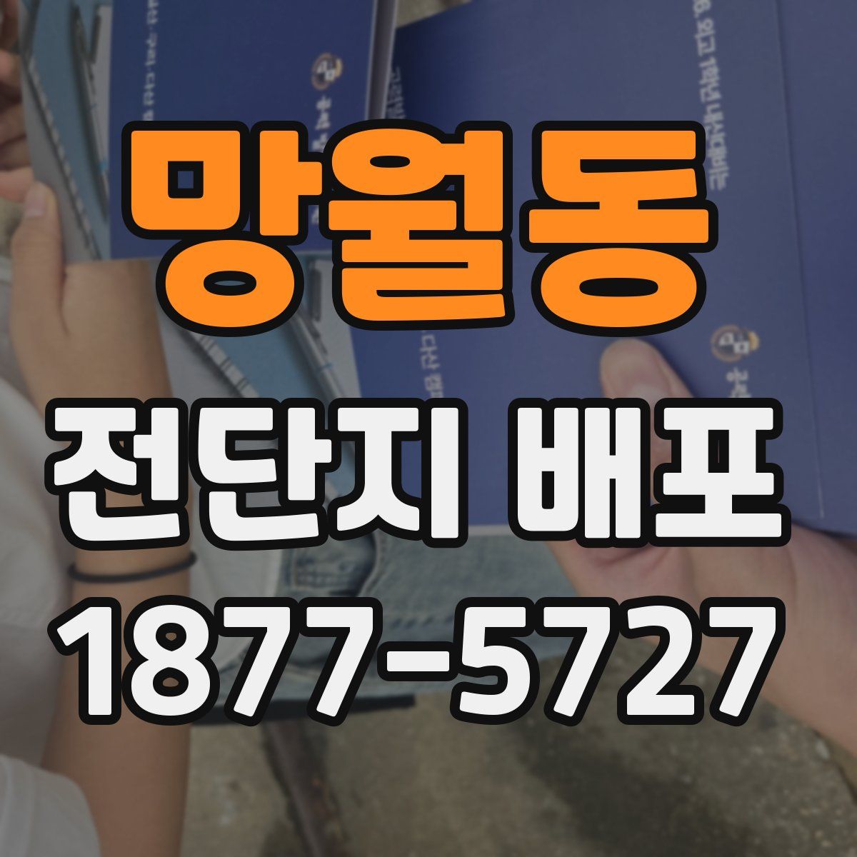 망월동 전단지 배포