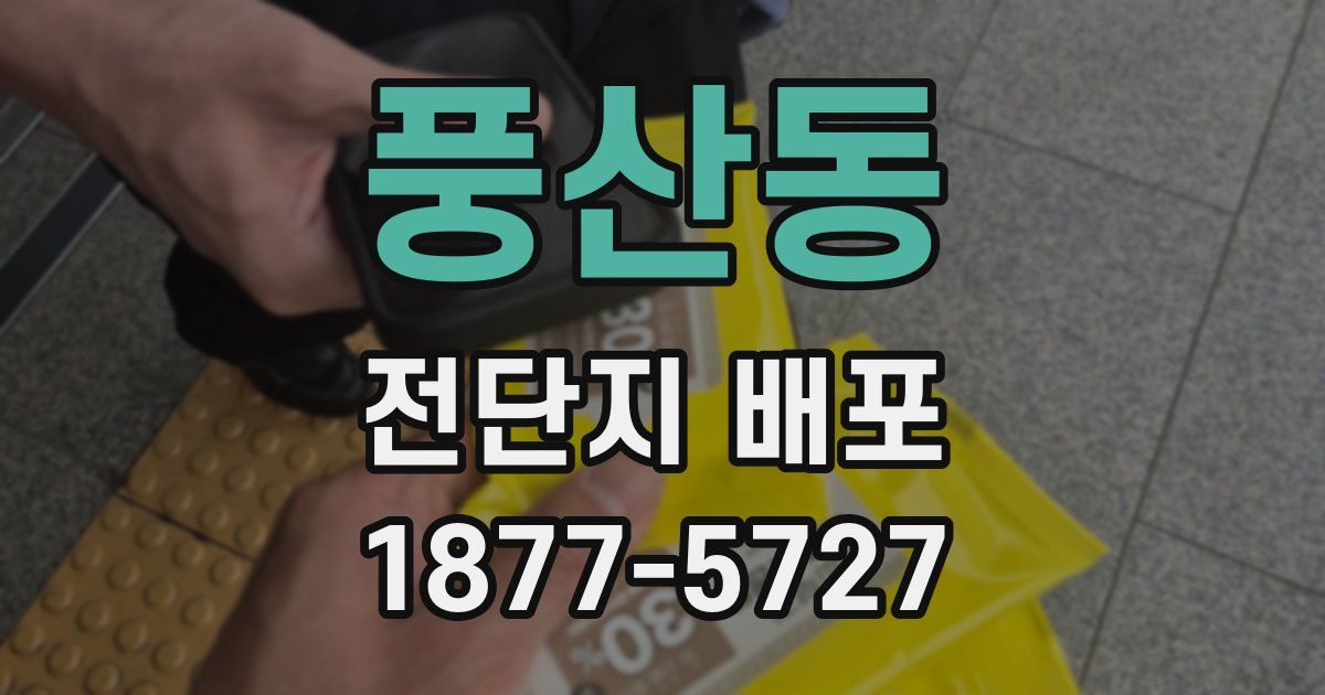 풍산동 전단지 배포