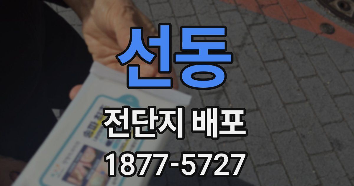 선동 전단지 배포