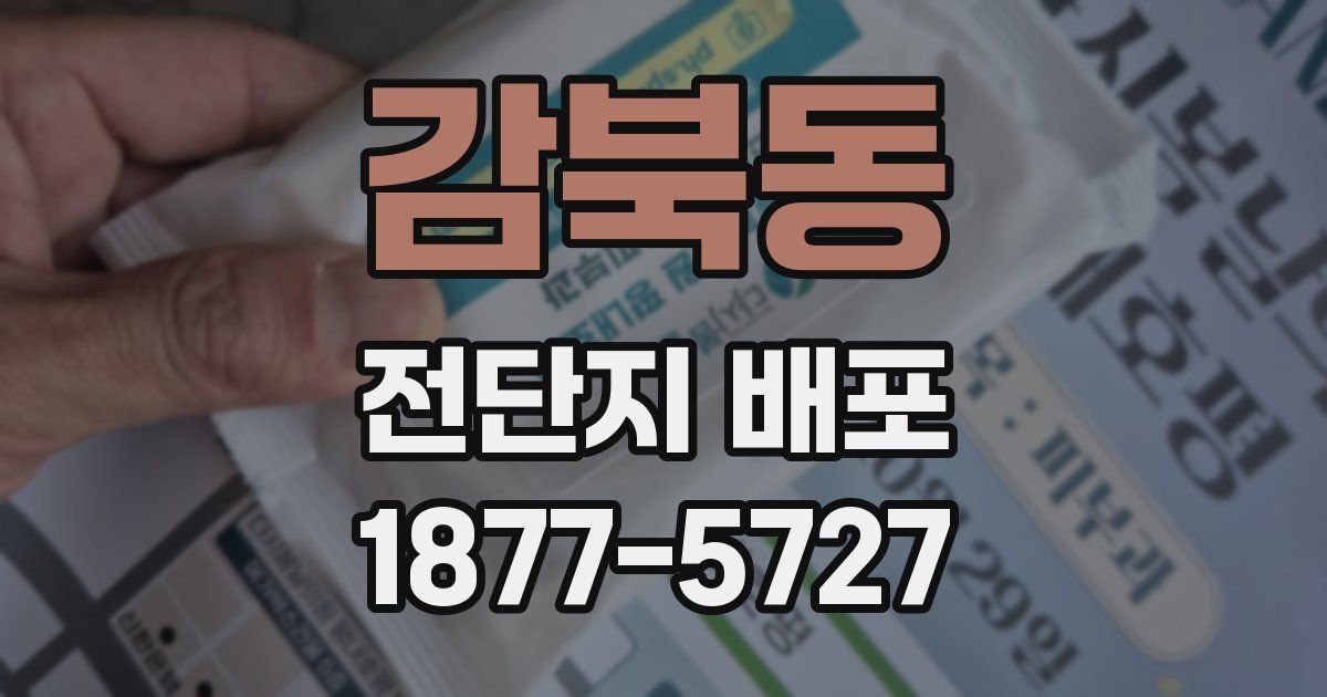 감북동 전단지 배포
