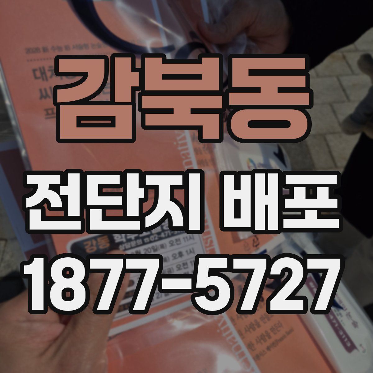 감북동 전단지 배포