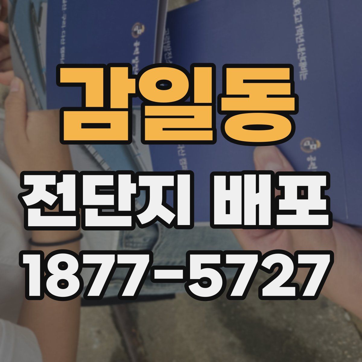 감일동 전단지 배포