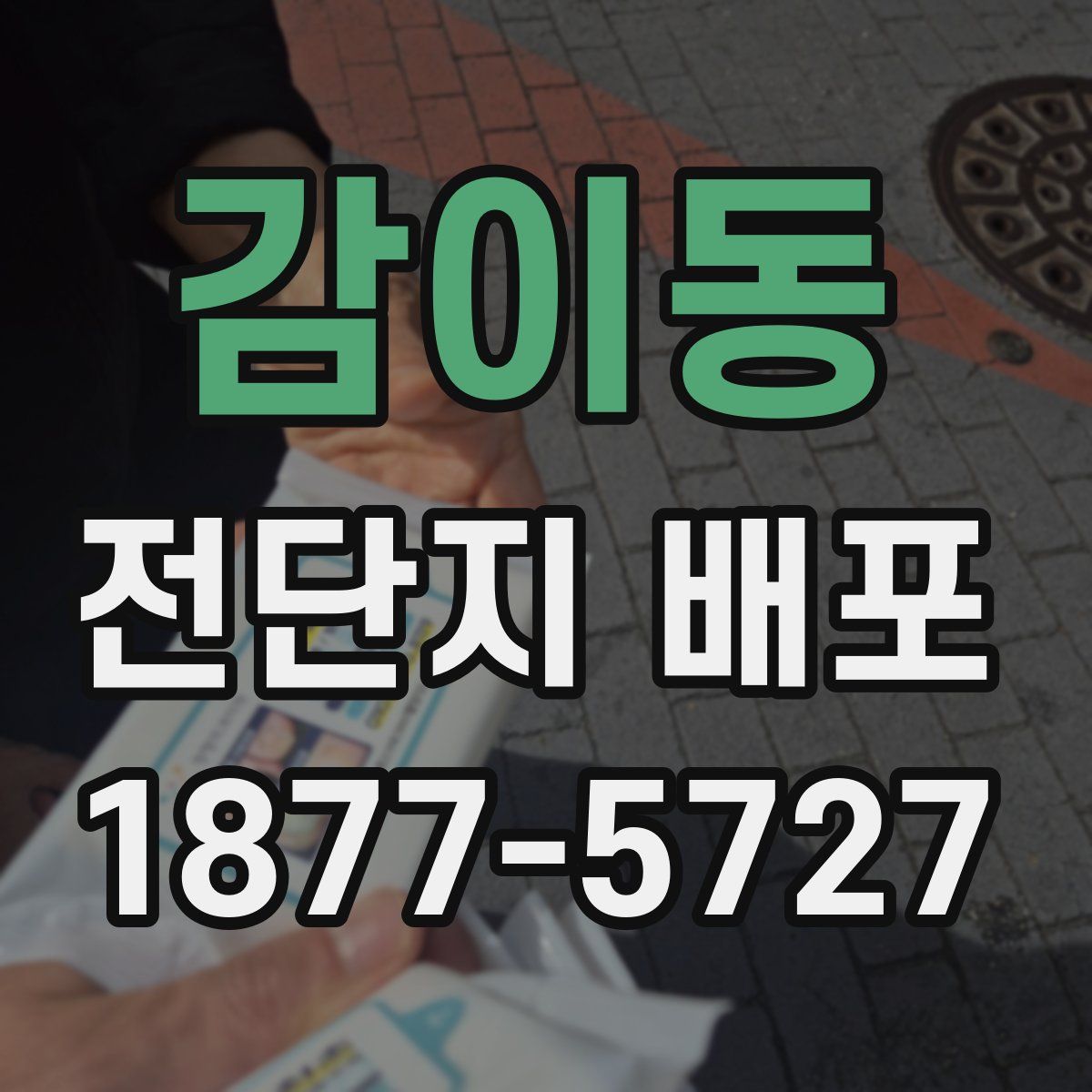 감이동 전단지 배포
