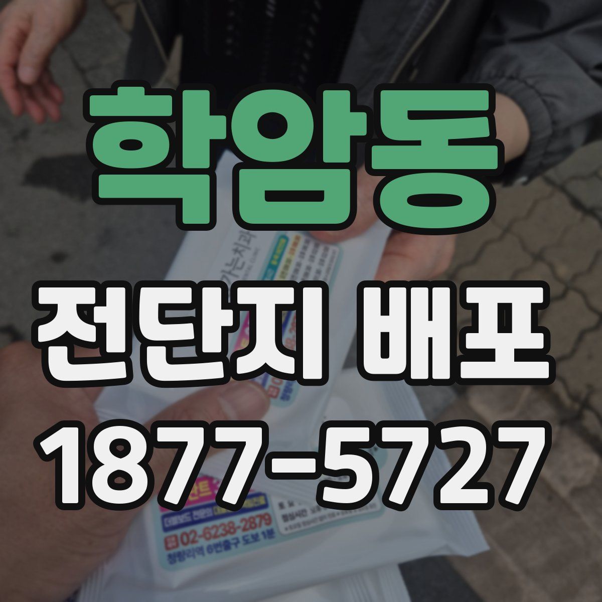 학암동 전단지 배포