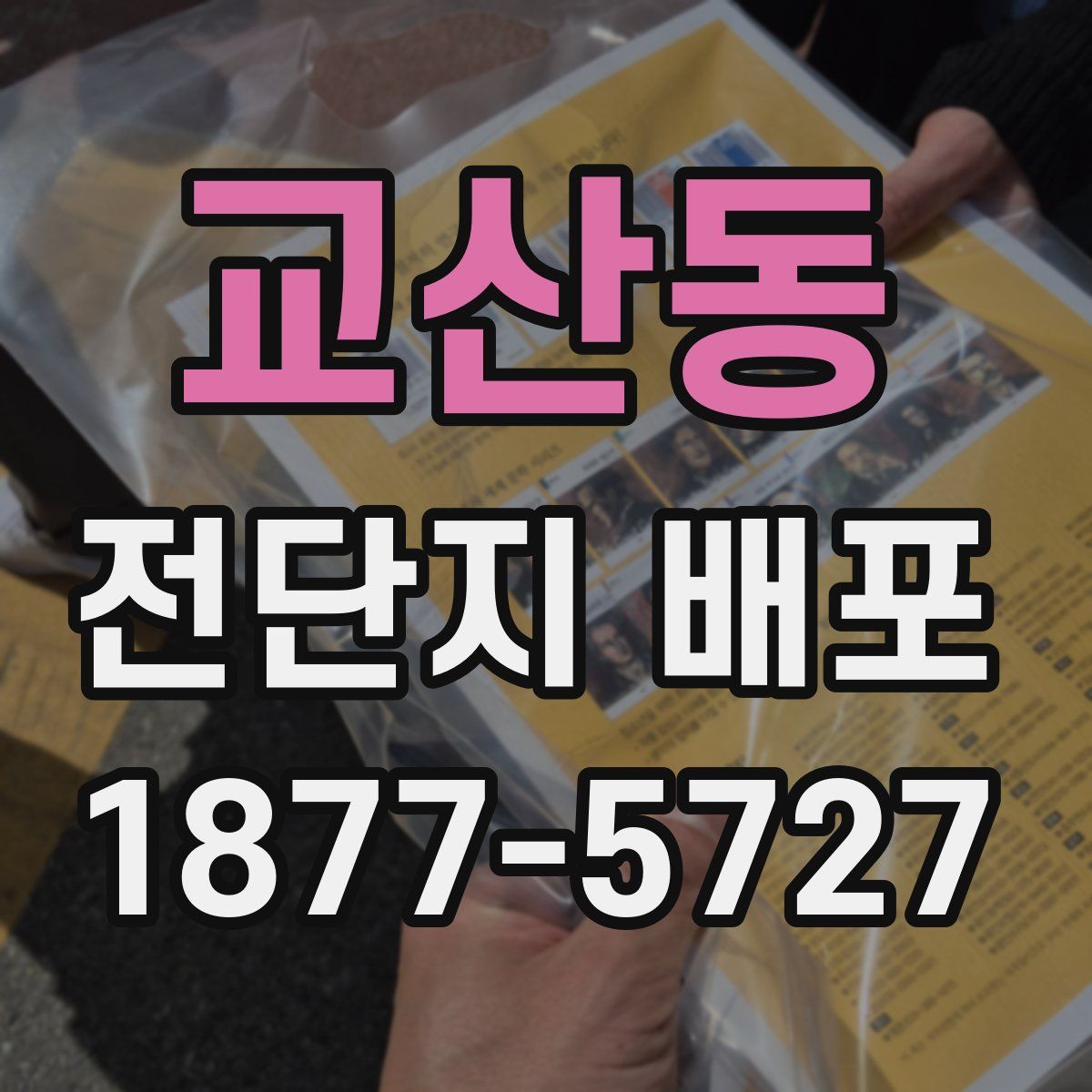교산동 전단지 배포