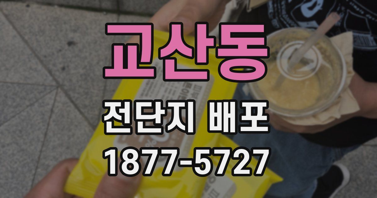 교산동 전단지 배포