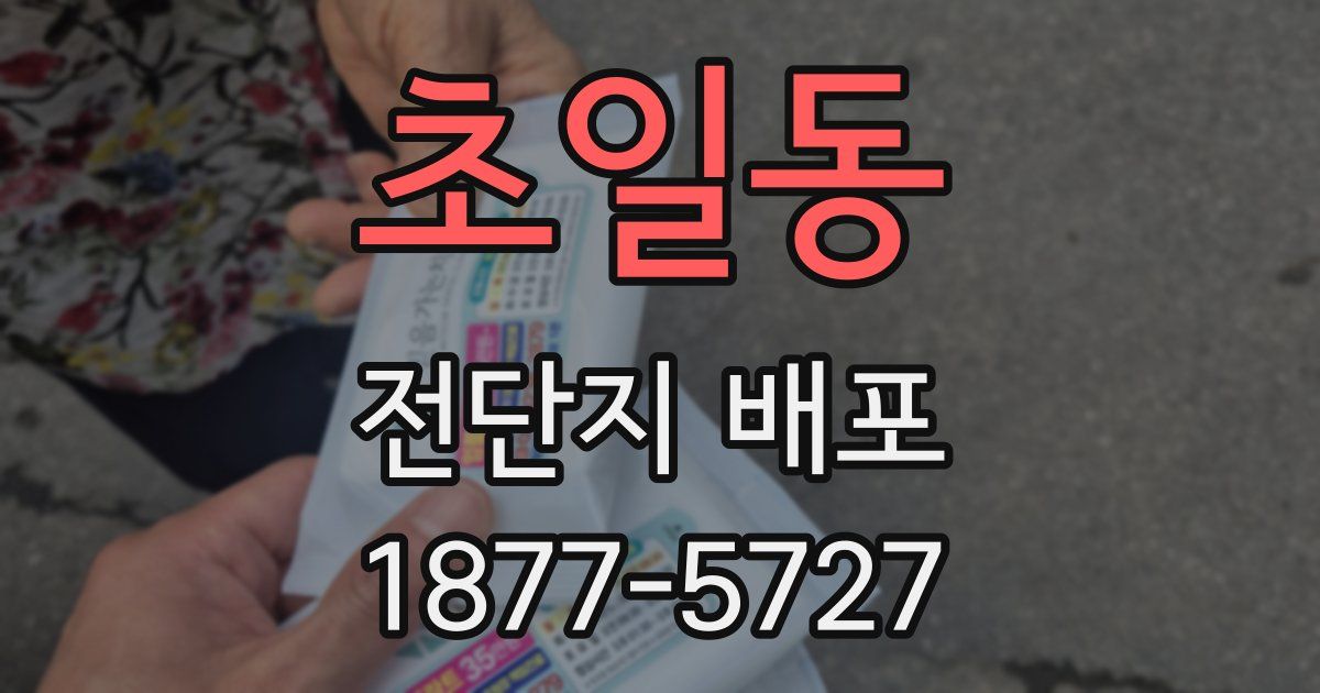 초일동 전단지 배포