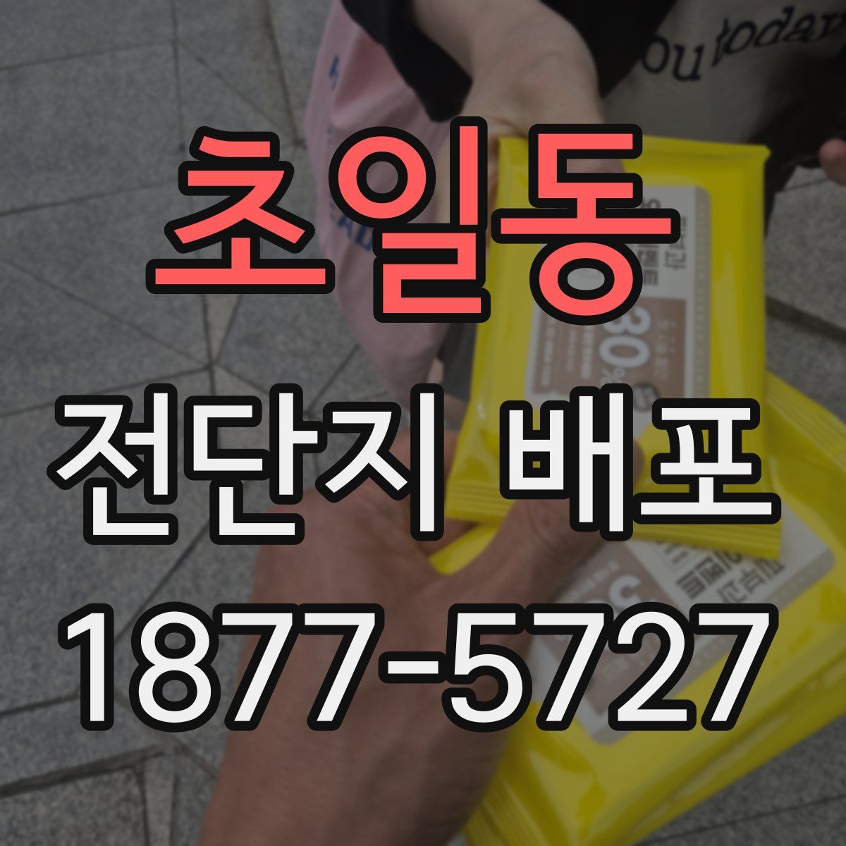 초일동 전단지 배포