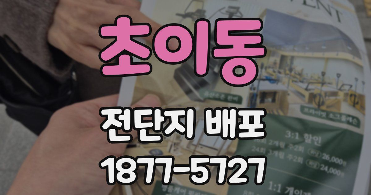 초이동 전단지 배포