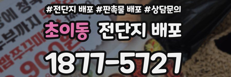 초이동 전단지 배포