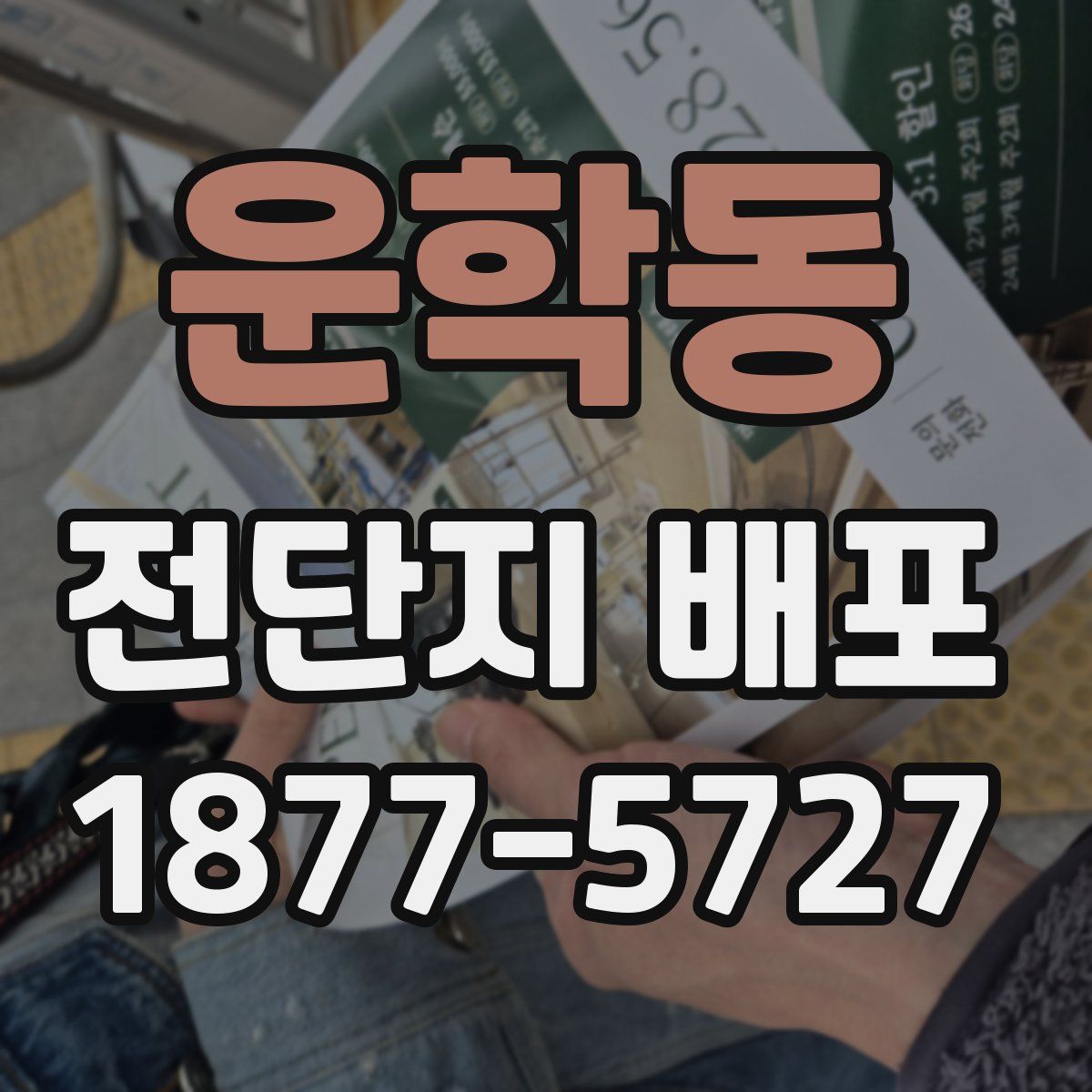 운학동 전단지 배포