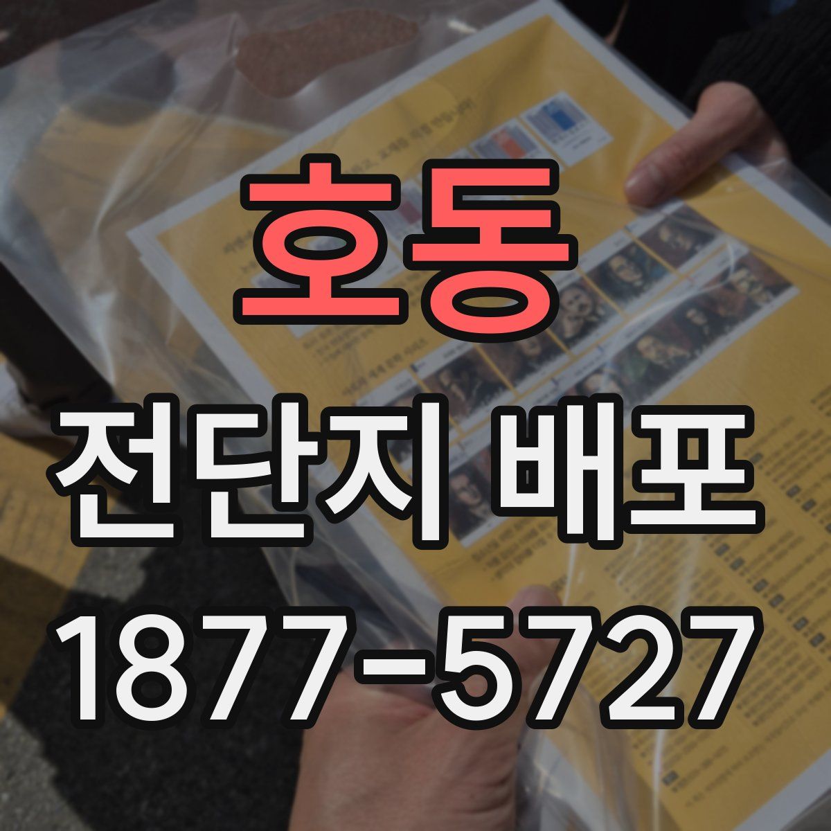 호동 전단지 배포