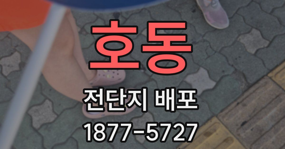 호동 전단지 배포