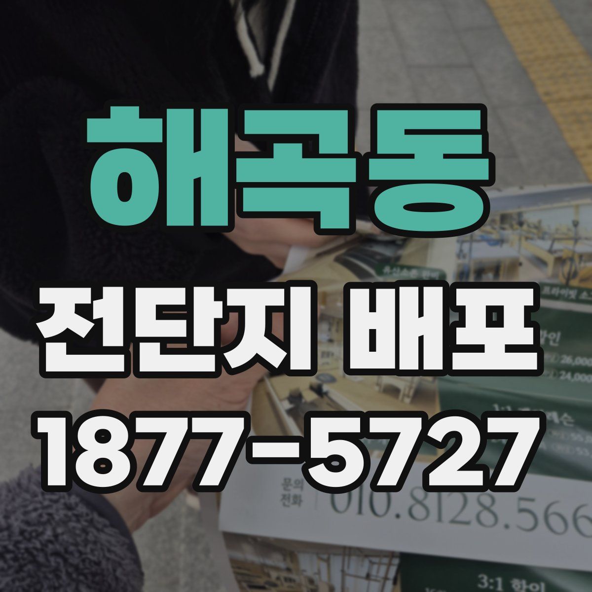 해곡동 전단지 배포
