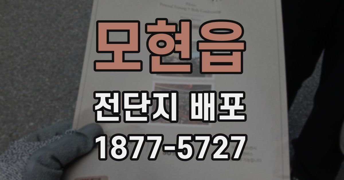 모현읍 전단지 배포