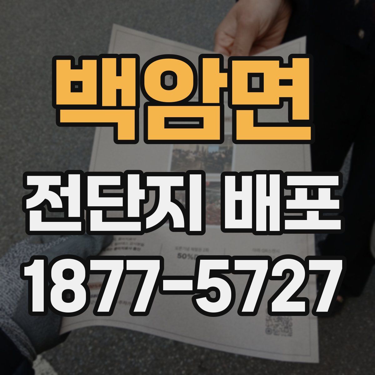 백암면 전단지 배포