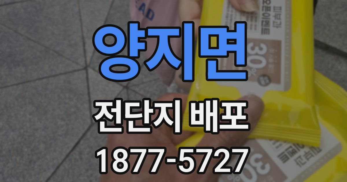 양지면 전단지 배포