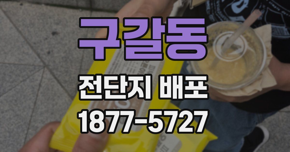 구갈동 전단지 배포