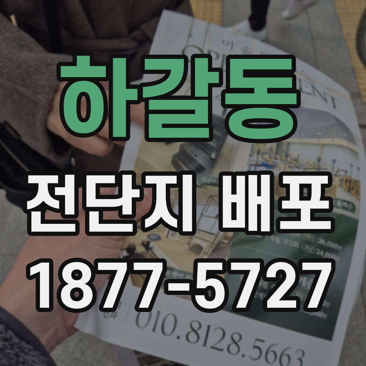 하갈동 전단지 배포