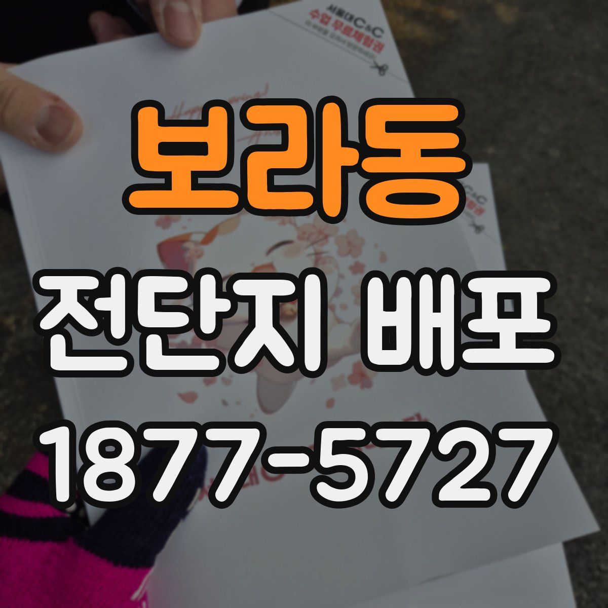 보라동 전단지 배포