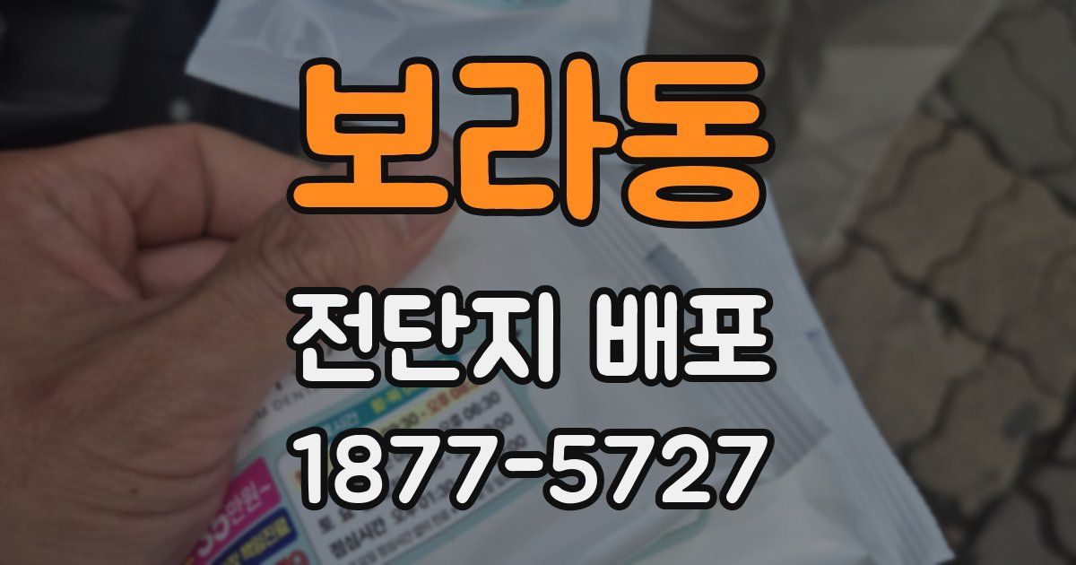 보라동 전단지 배포