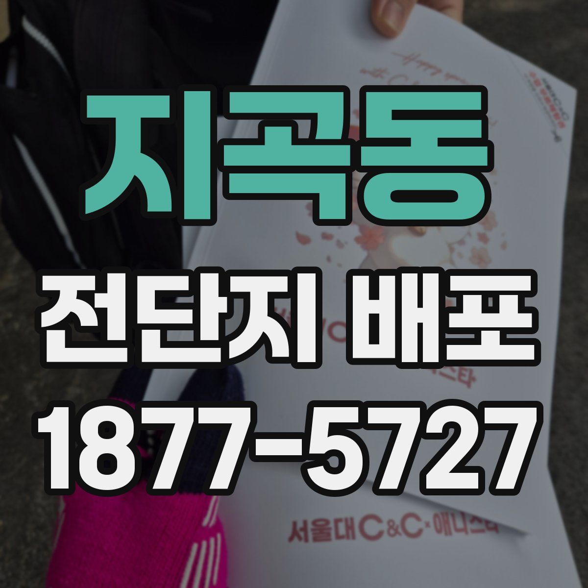 지곡동 전단지 배포