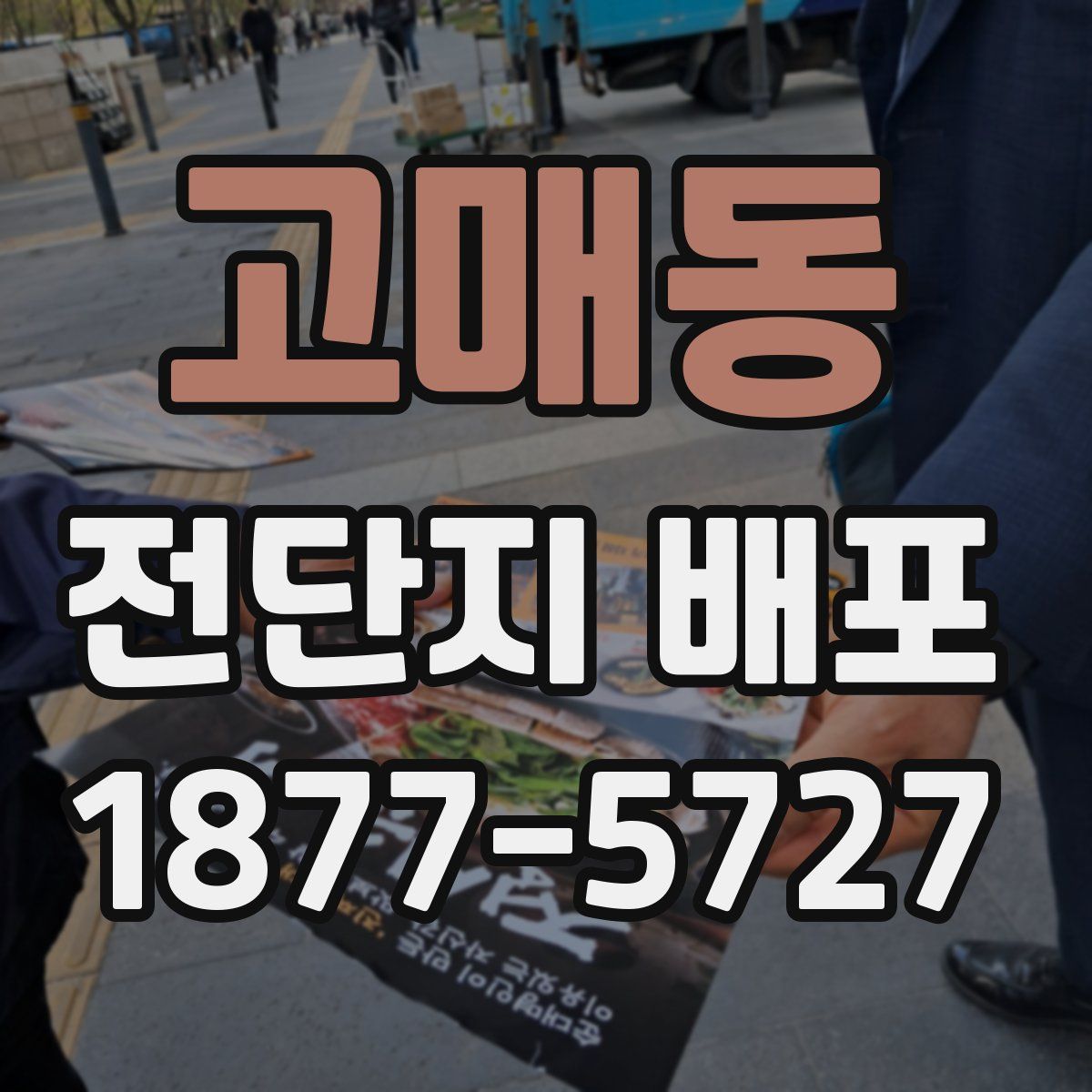 고매동 전단지 배포