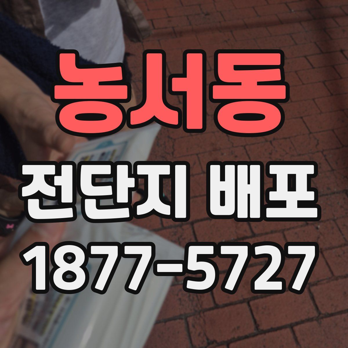 농서동 전단지 배포