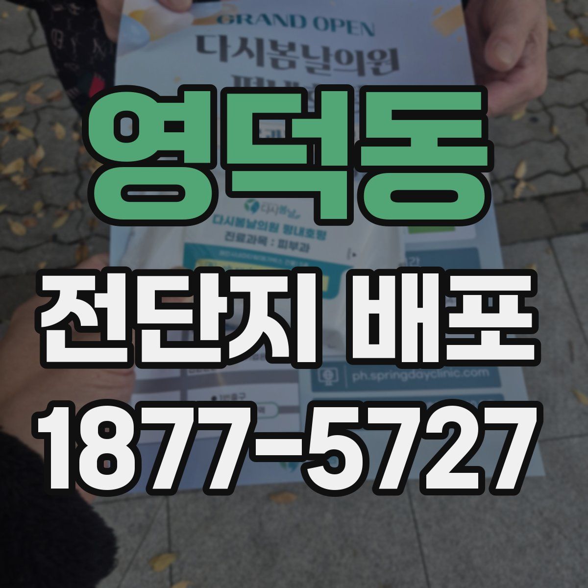 영덕동 전단지 배포