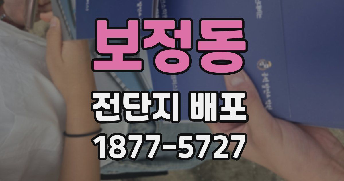 보정동 전단지 배포