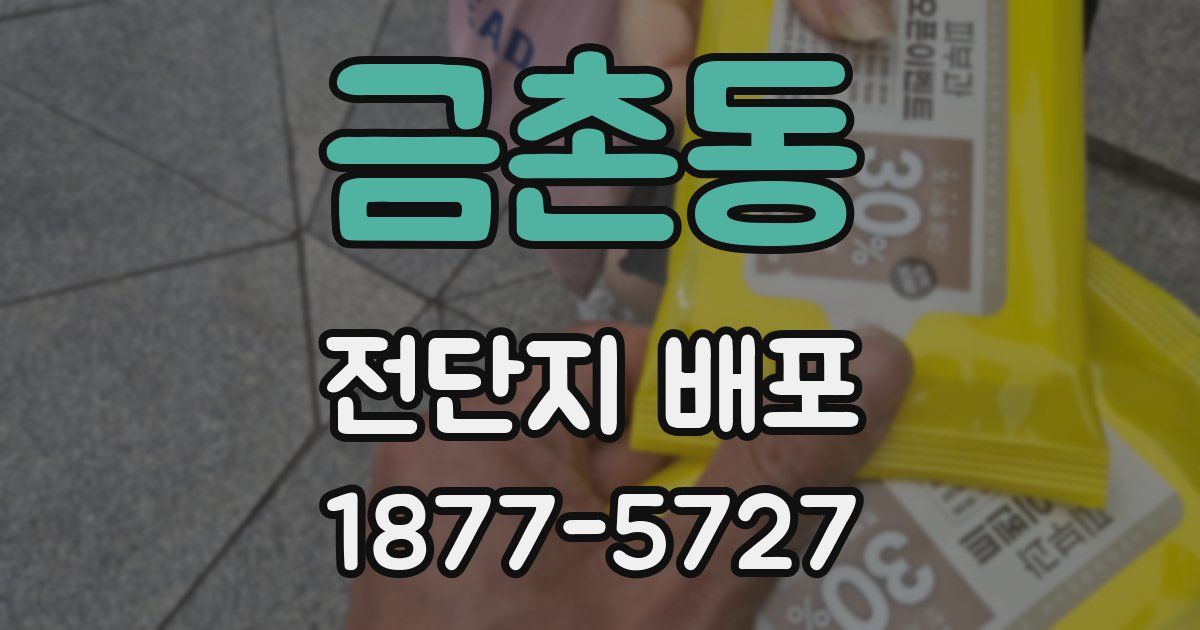 금촌동 전단지 배포