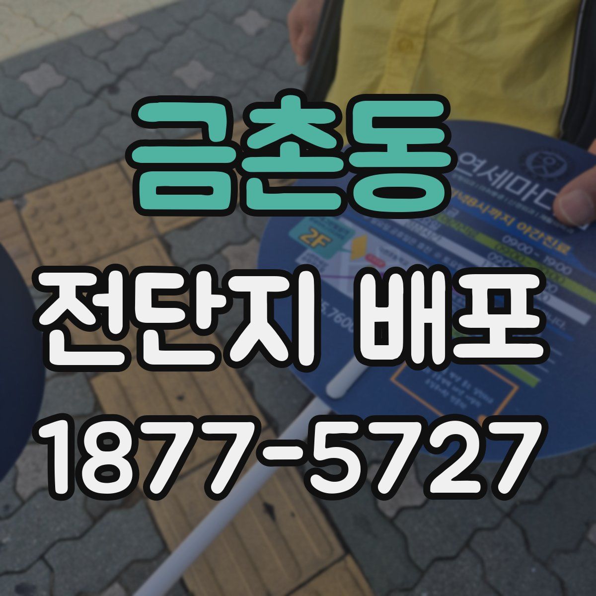 금촌동 전단지 배포