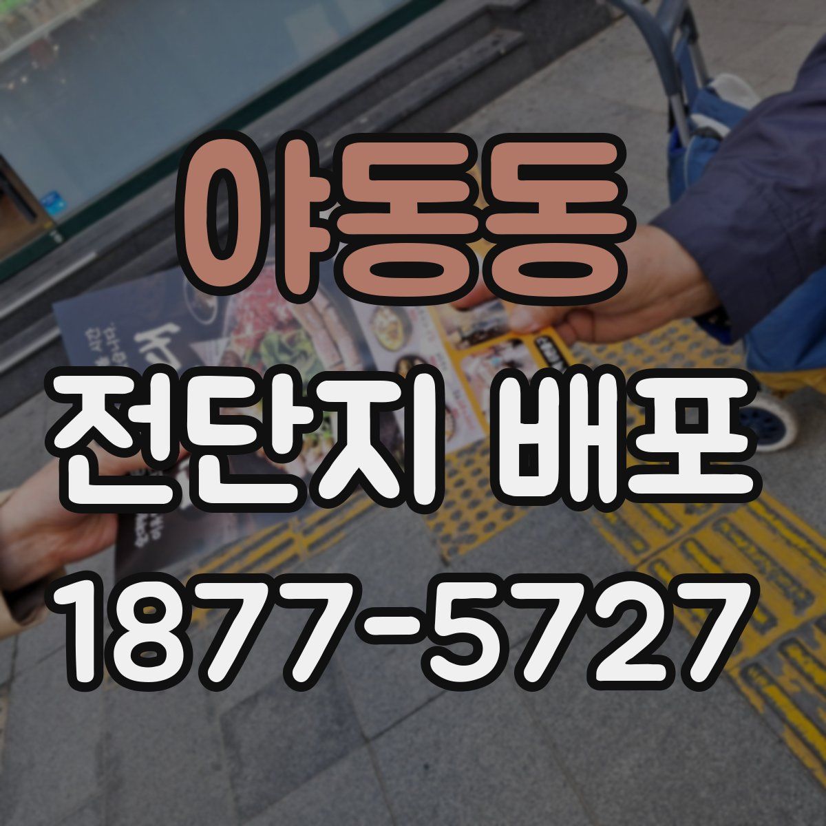 야동동 전단지 배포