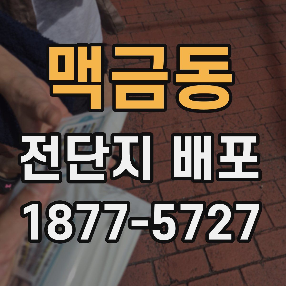 맥금동 전단지 배포
