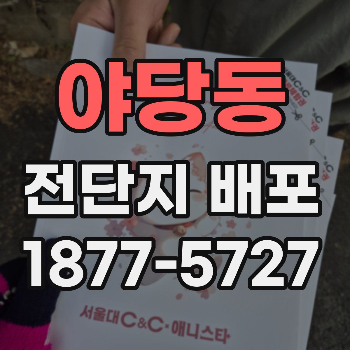 야당동 전단지 배포