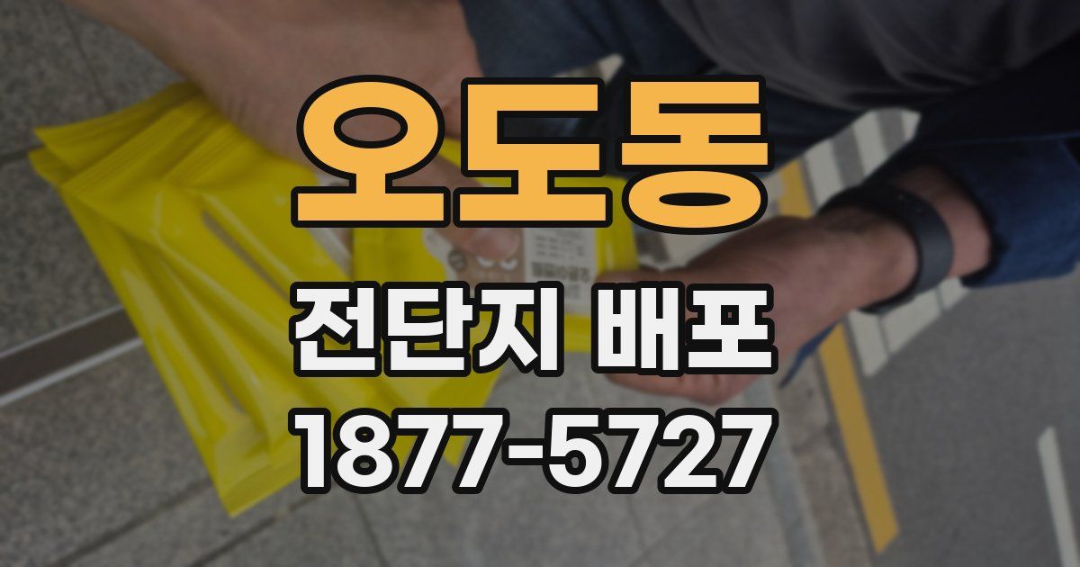 오도동 전단지 배포