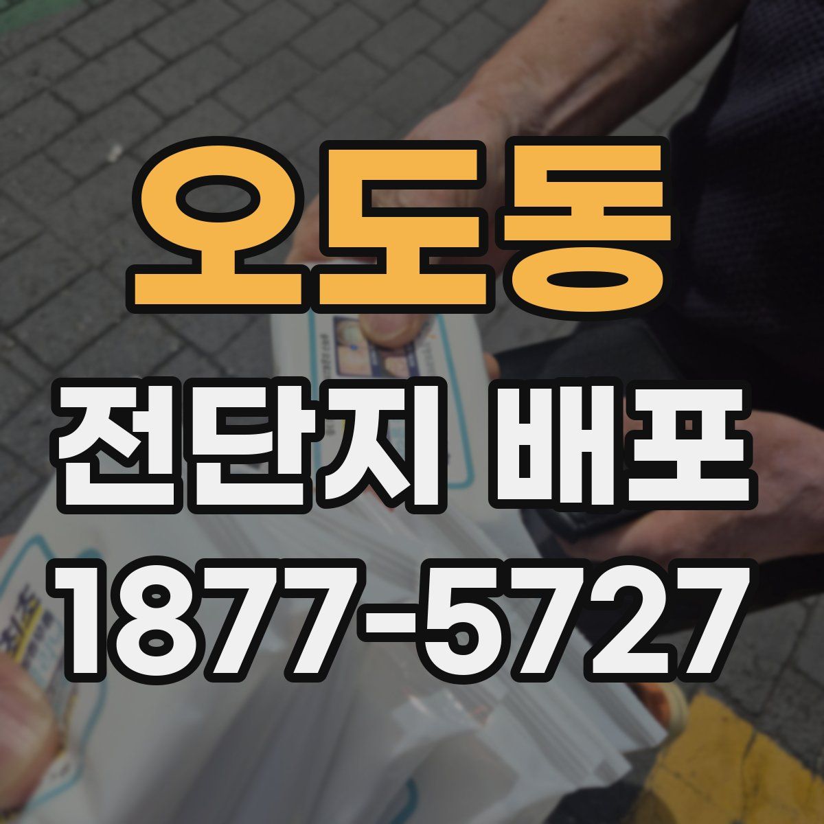오도동 전단지 배포