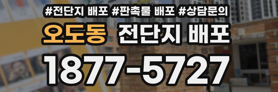 오도동 전단지 배포