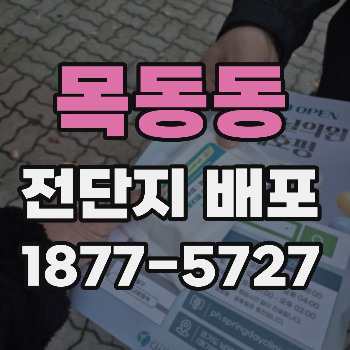 목동동 전단지 배포