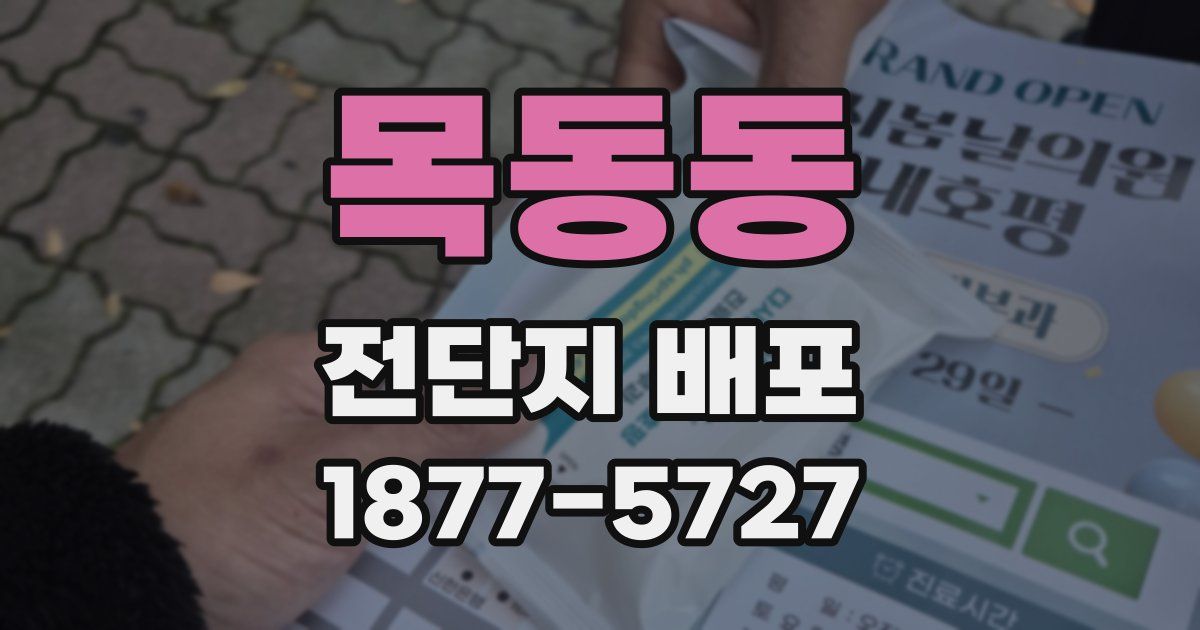 목동동 전단지 배포