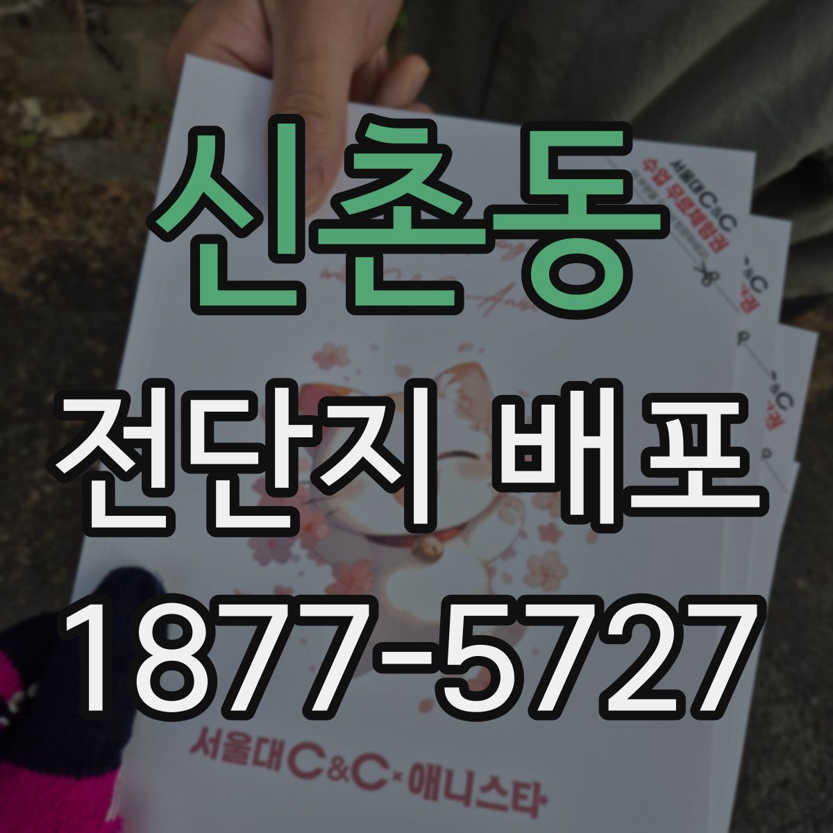 신촌동 전단지 배포