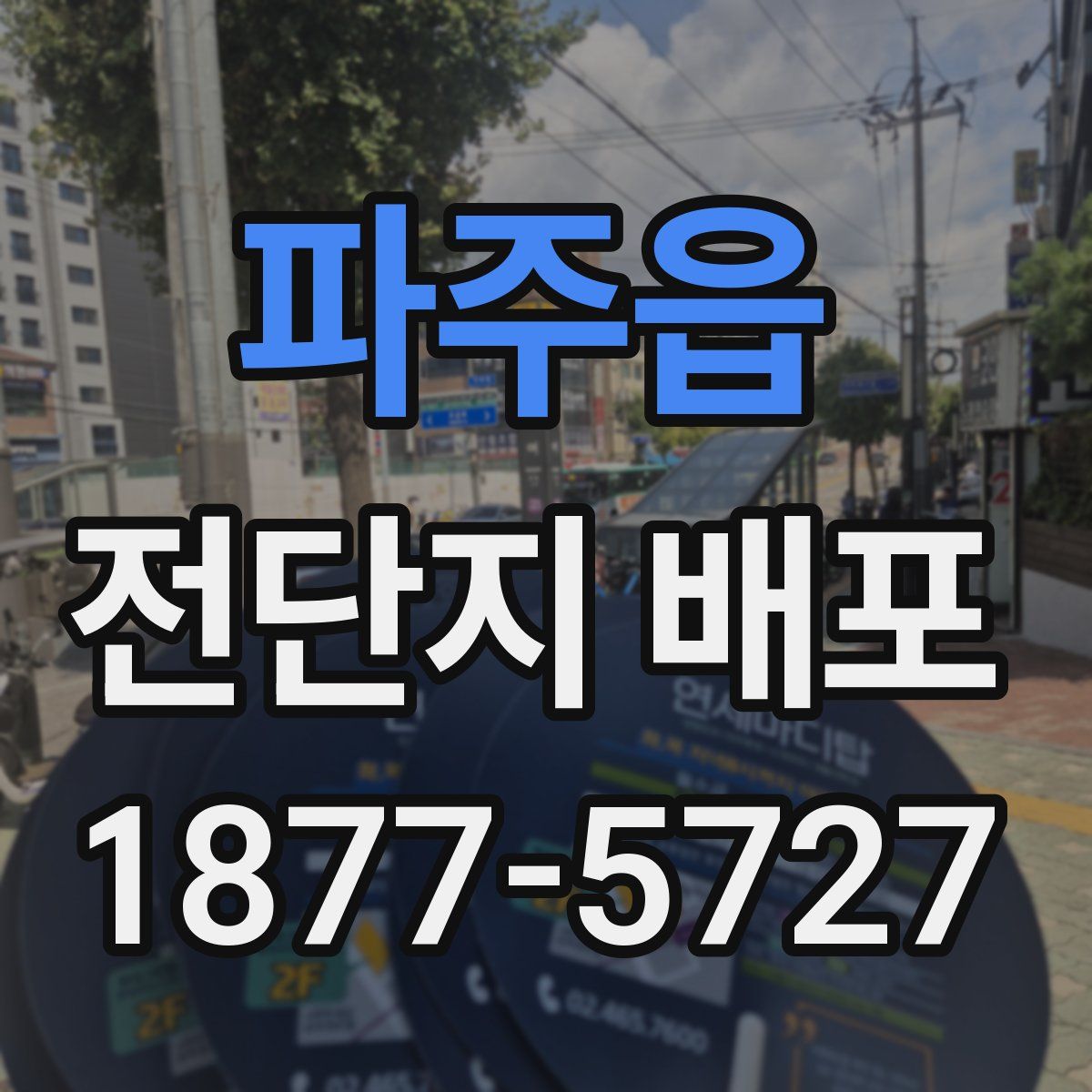 파주읍 전단지 배포