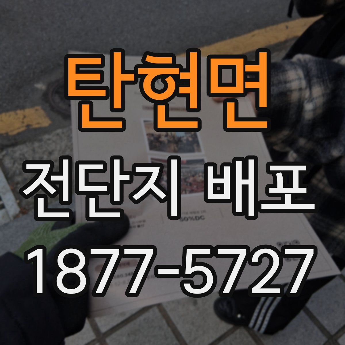 탄현면 전단지 배포