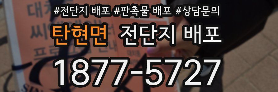 탄현면 전단지 배포
